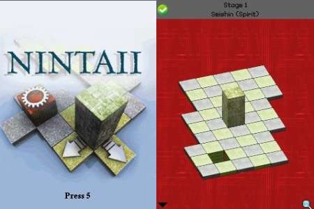 Nintaii Puzzle Blocks 3D /  / Java