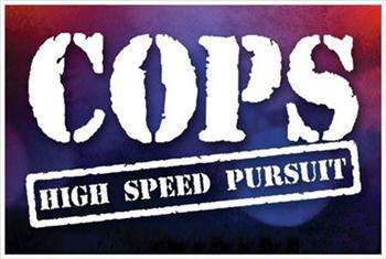 COPS: High Speed Pursuit [2.1.1][iPhone/iPod]