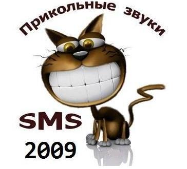  SMS    2009 (270 )